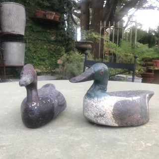 C1900 Decoy Ducks
