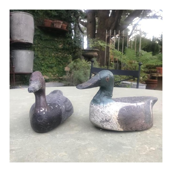 C1900 Decoy Ducks