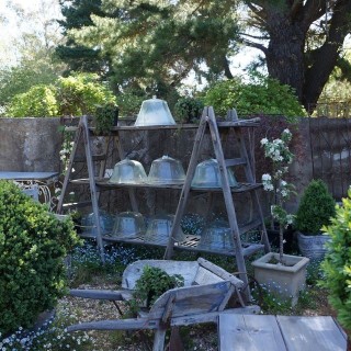 Circa 1900 Cloches a Melons et Salade