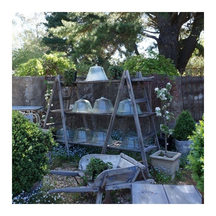 Circa 1900 Cloches a Melons et Salade