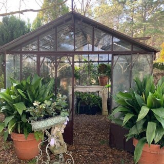 French Orangerie/ Greenhouse 3000 x 3000 Green and Rustic colour Large 3000 x 3000