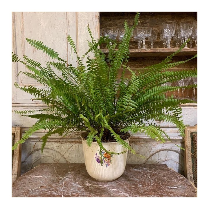 C1900 Each Pot Porcelain de Boch