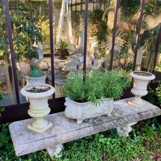 C19th Pair of Medici Urns