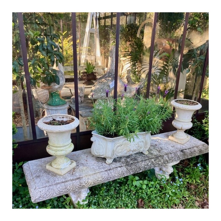 C19th Pair of Medici Urns