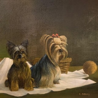 C1930 Flemish Portrait Pair of Silky Terriers