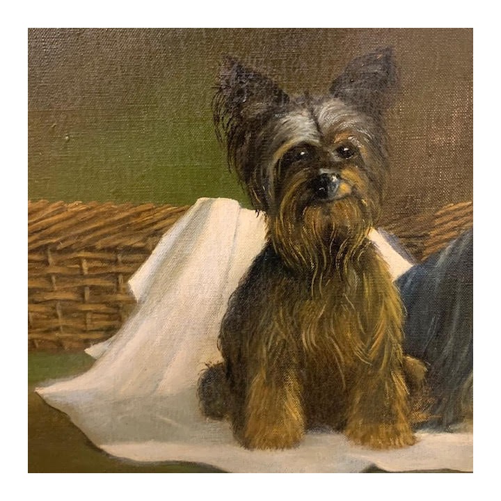 C1930 Flemish Portrait Pair of Silky Terriers