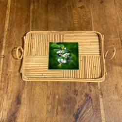French Vintage Bamboo Tray