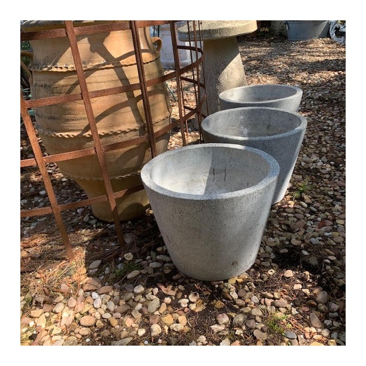 French Vintage Mushroom