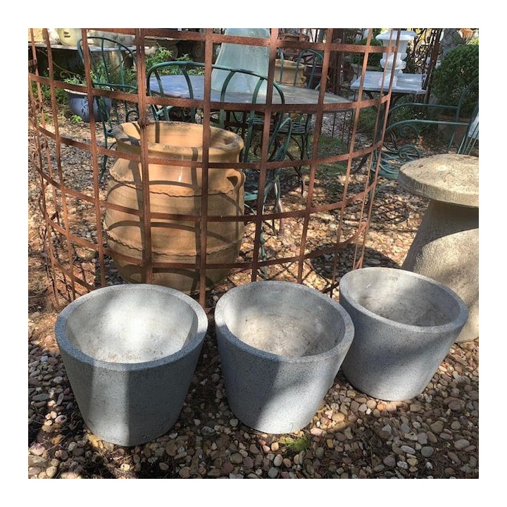 French Vintage Mushroom