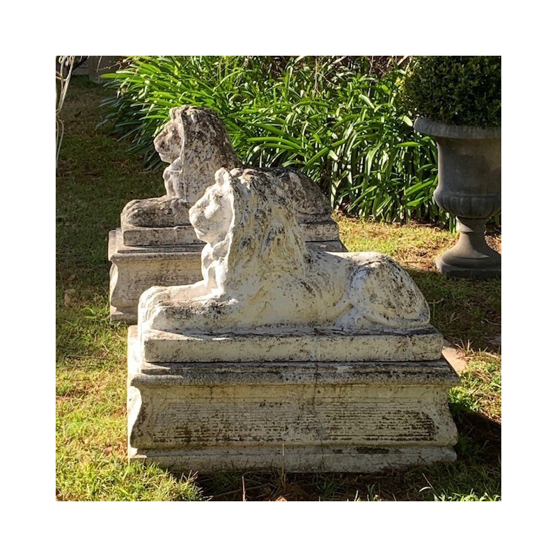 Pair of Recumbent Lions on Plinth Bases Early C20th