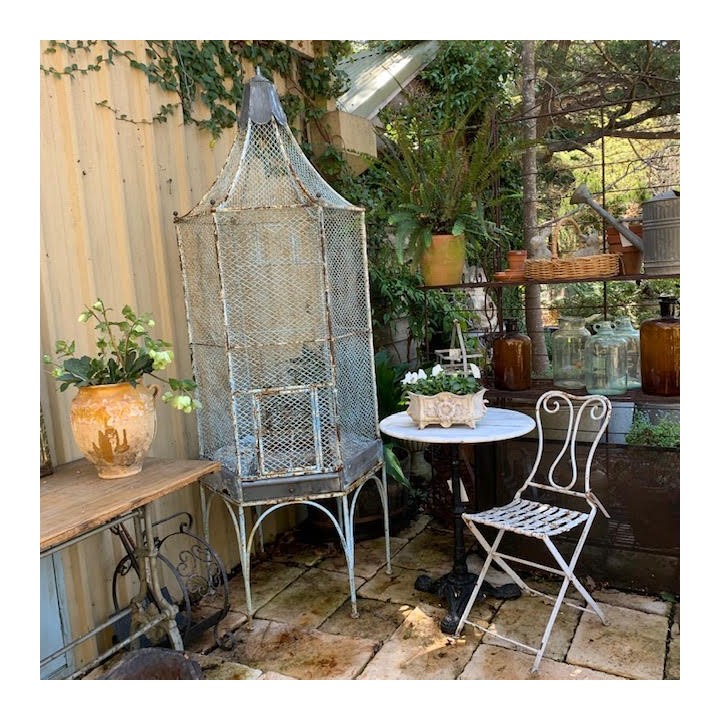 C19th Blue Bird Cage