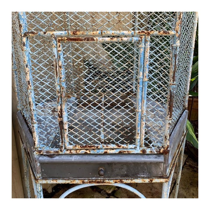 C19th Blue Bird Cage