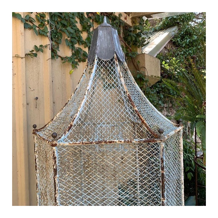 C19th Blue Bird Cage