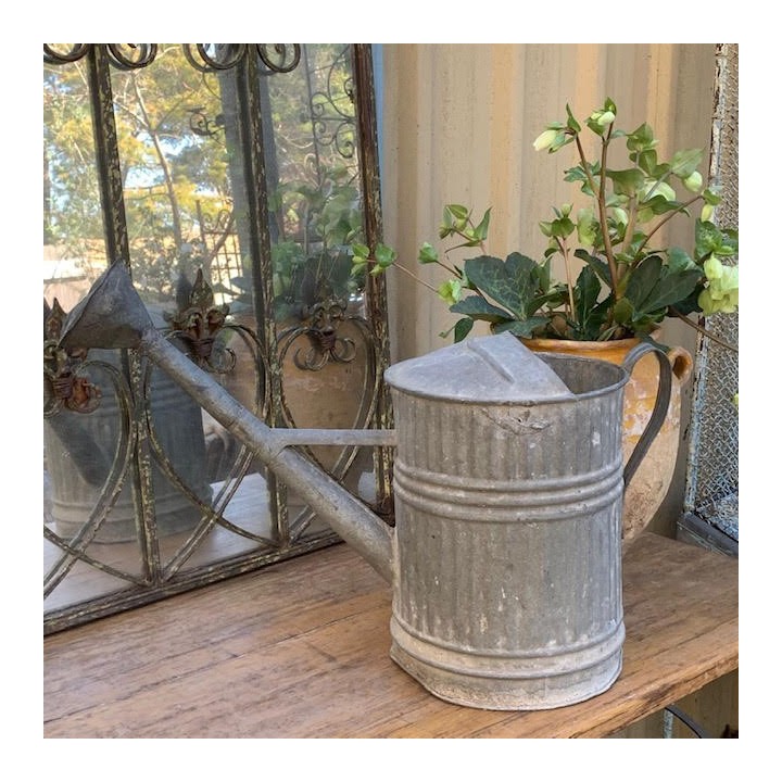 C1900 Rustic French Watering Can