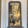 C19th French Louis Philippe Mirror