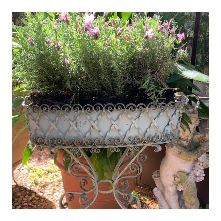 Early C20th French Wrought Iron Standing Jardiniere