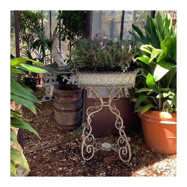Early C20th French Wrought Iron Standing Jardiniere