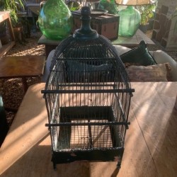 Early Bird Cage