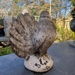 Vintage Pigeon