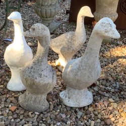 Vintage Geese French 4 available