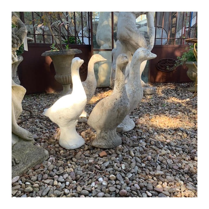 Vintage Geese French 4 available