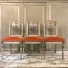 C19th Directoire Six French Set of Dining Chairs