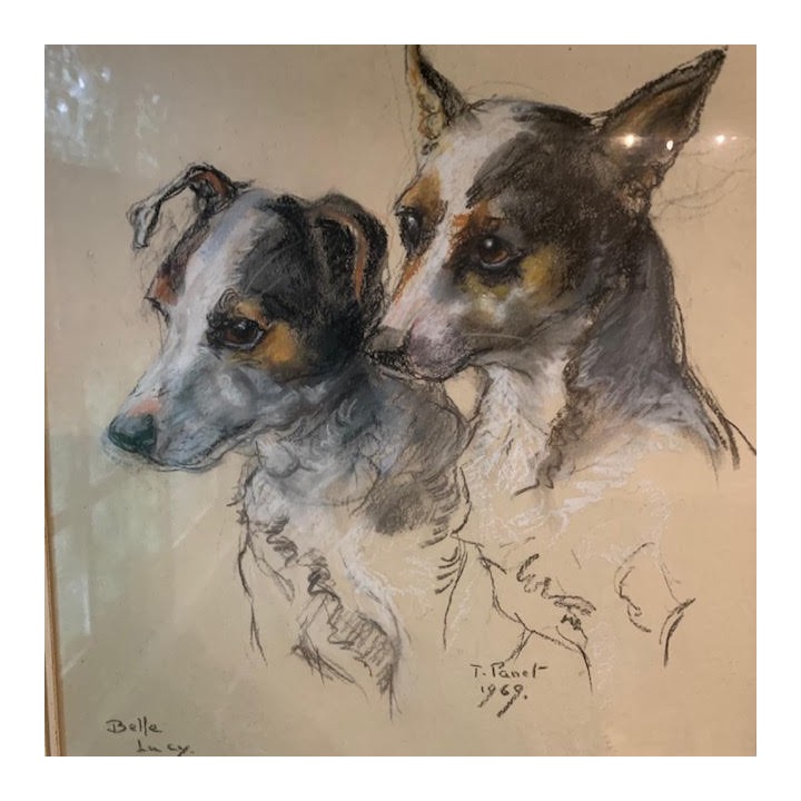 Vintage Portrait Lucy and Belle C1969