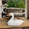 C1900 Painted Duck
