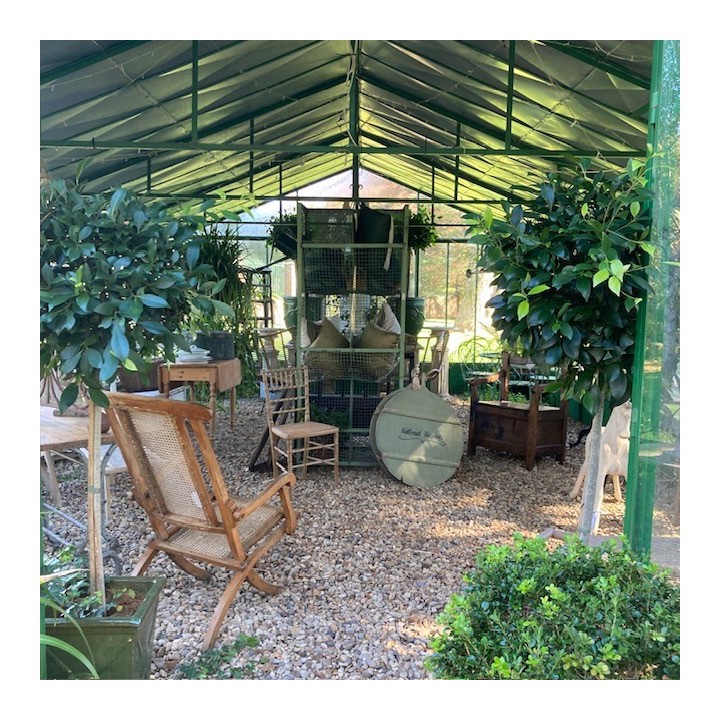 5m X 8m Greenhouse French Green 8000 X 5000