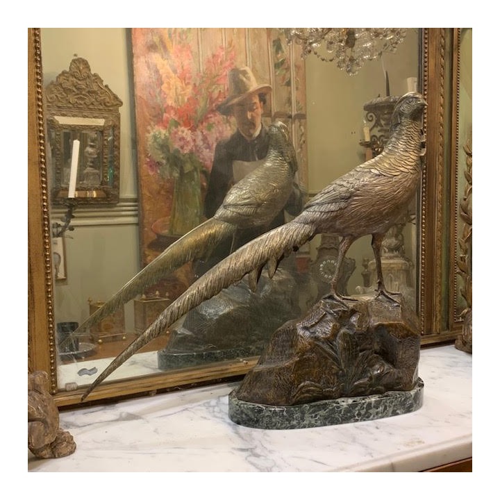 Bronze Doré Pheasant