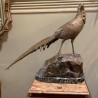 Large Bronze Doré Pheasant