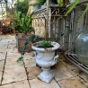 C19th Cast Iron Jardiniere 450 H