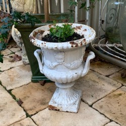 C19th Cast Iron Jardiniere...