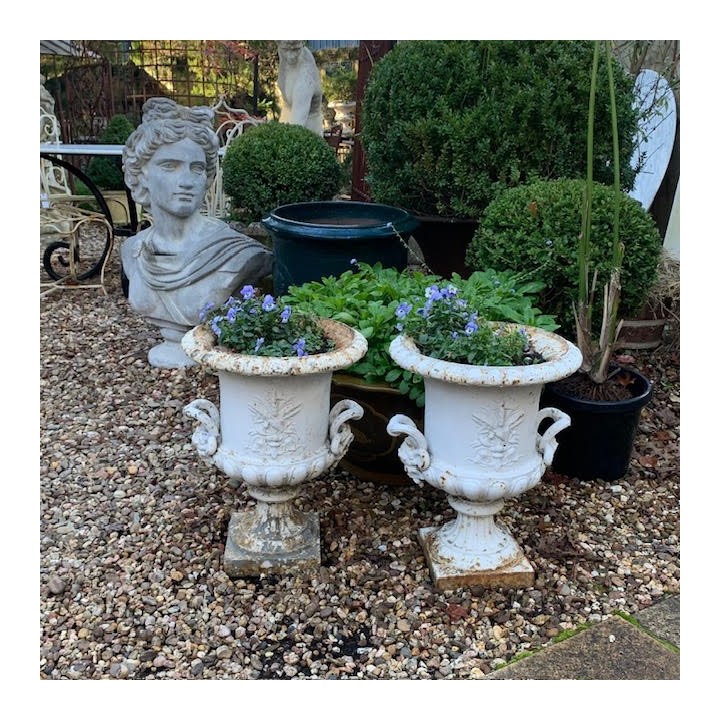 C19th Medici Jardiniere