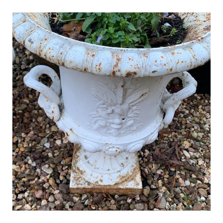 Pair of C19th Medici Jardinieres Cast Iron