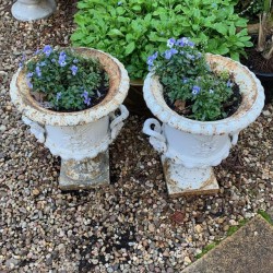 Pair of C19th Medici Jardinieres Cast Iron