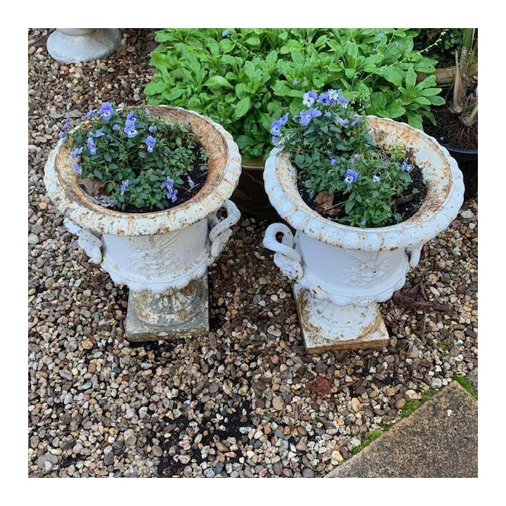 Pair of C19th Medici Jardinieres Cast Iron