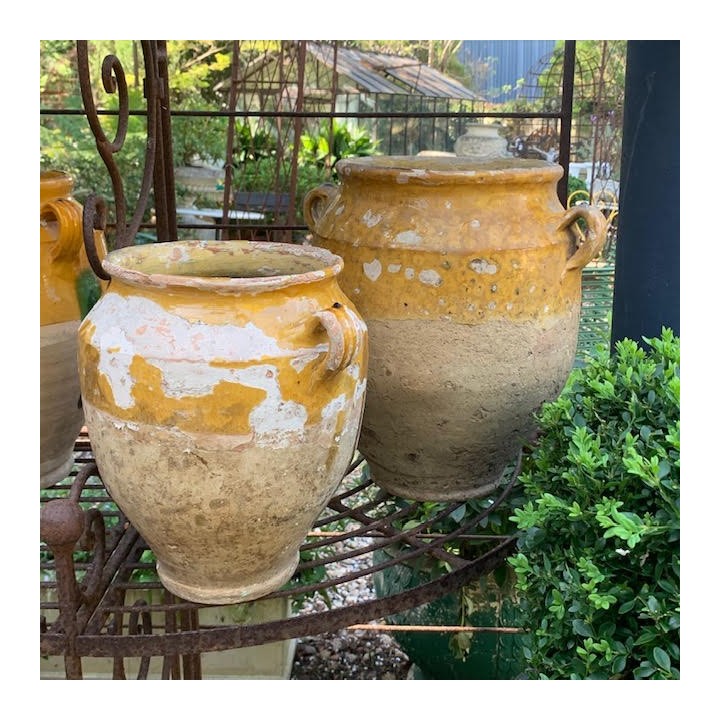 C19th French Confit Pot