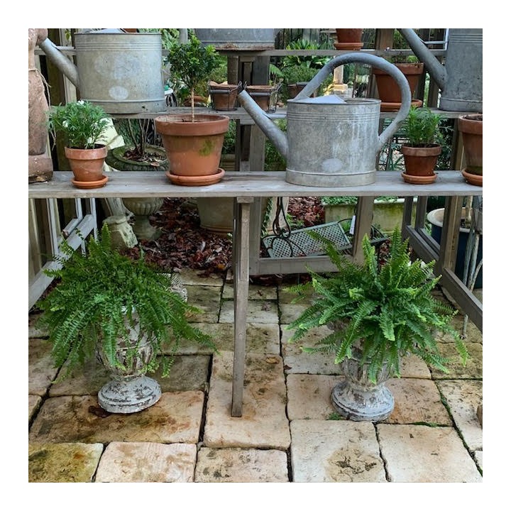 C18th Medici Pair of French  Urn