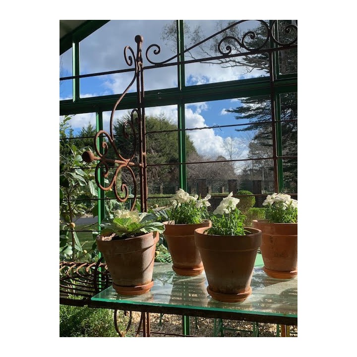 French Style Bakers Stand New Product