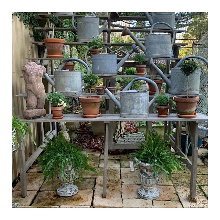 French Vintage Display