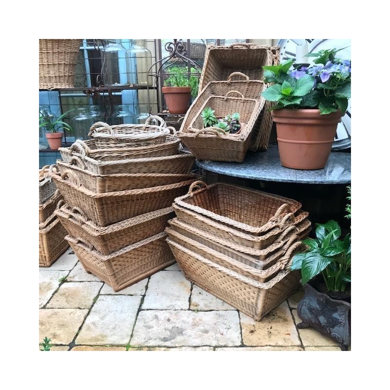 Selection of French Baskets Original