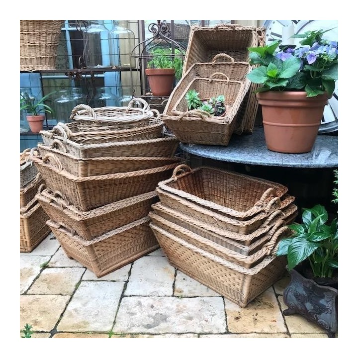 Selection of French Baskets Original