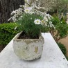 Vintage Log Planter