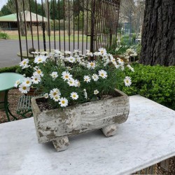 Vintage Log Planter