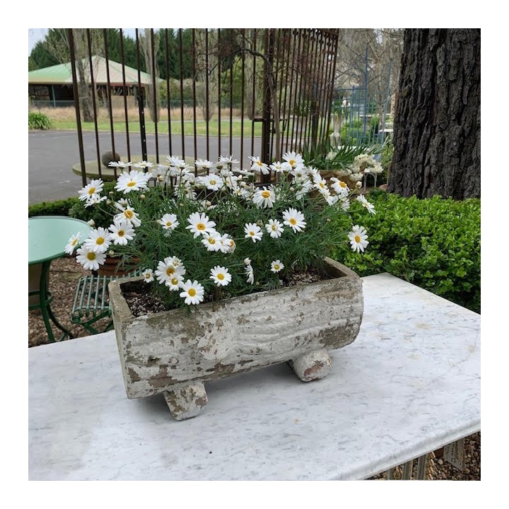 Vintage Log Planter