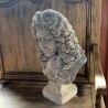 Vintage Bust of a Noble Person