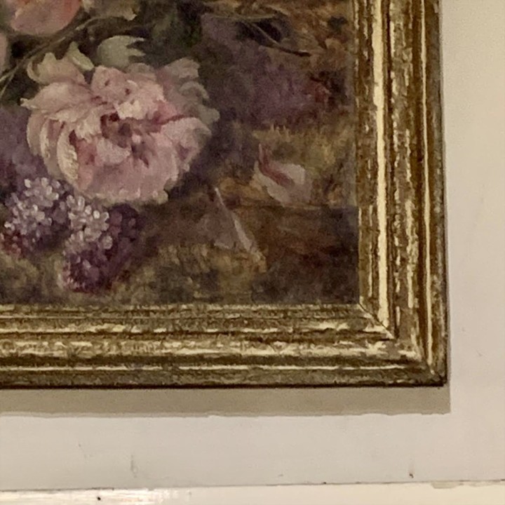 C19th French Still Life