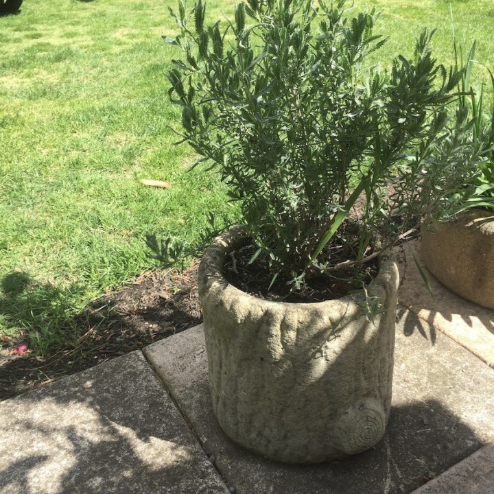Vintage Selection of Faux Wood Pots From Belgium and France