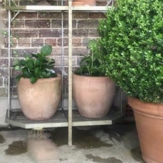 Vintage Pair of Terracotta Pots